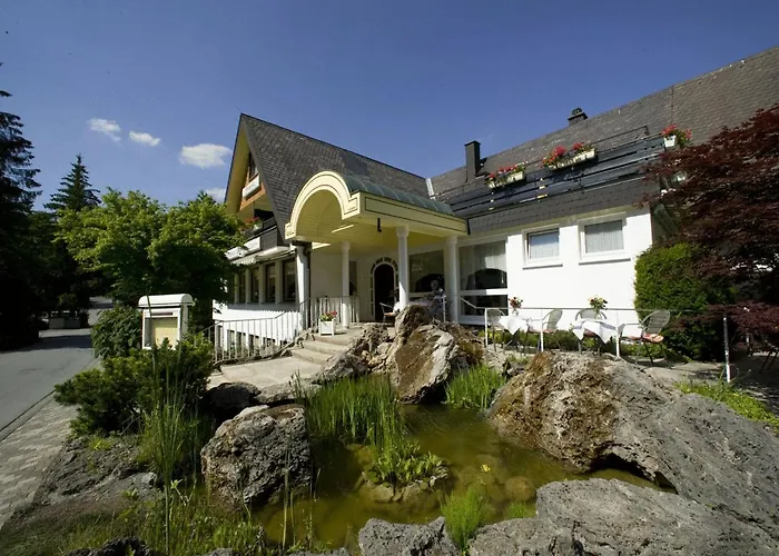 Otel Urlaubs- Und Wellnesshotel Friederike Willingen (Upland)